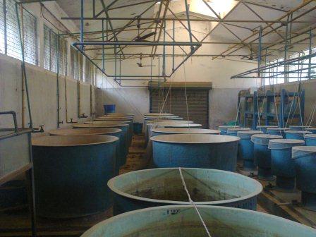 Central Institute of Freshwater Aquaculture